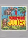 Picture of Donkey Kong Junior