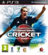 Picture of International Cricket 2010