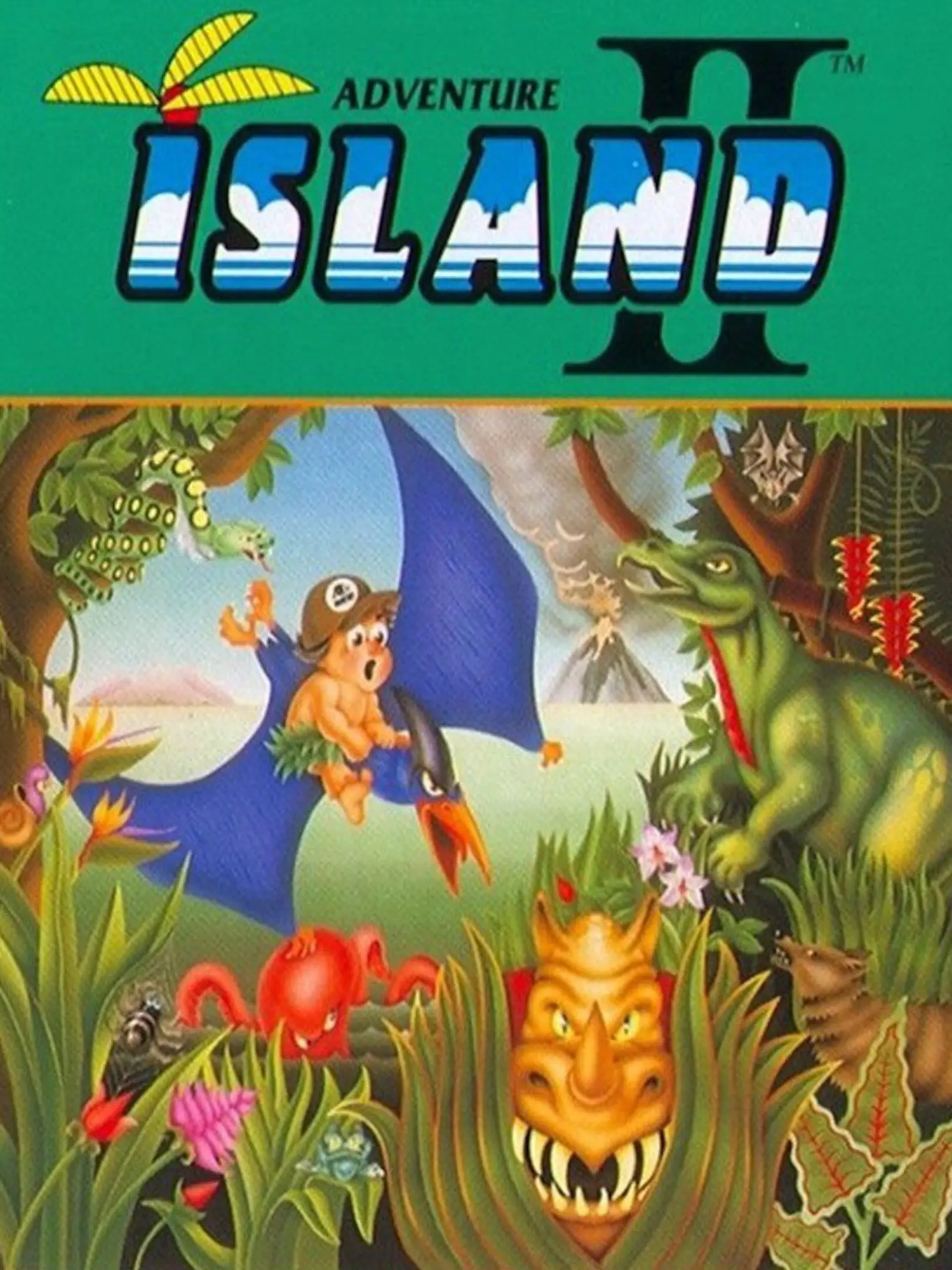 Takahashi Meijin no Bouken Jima II