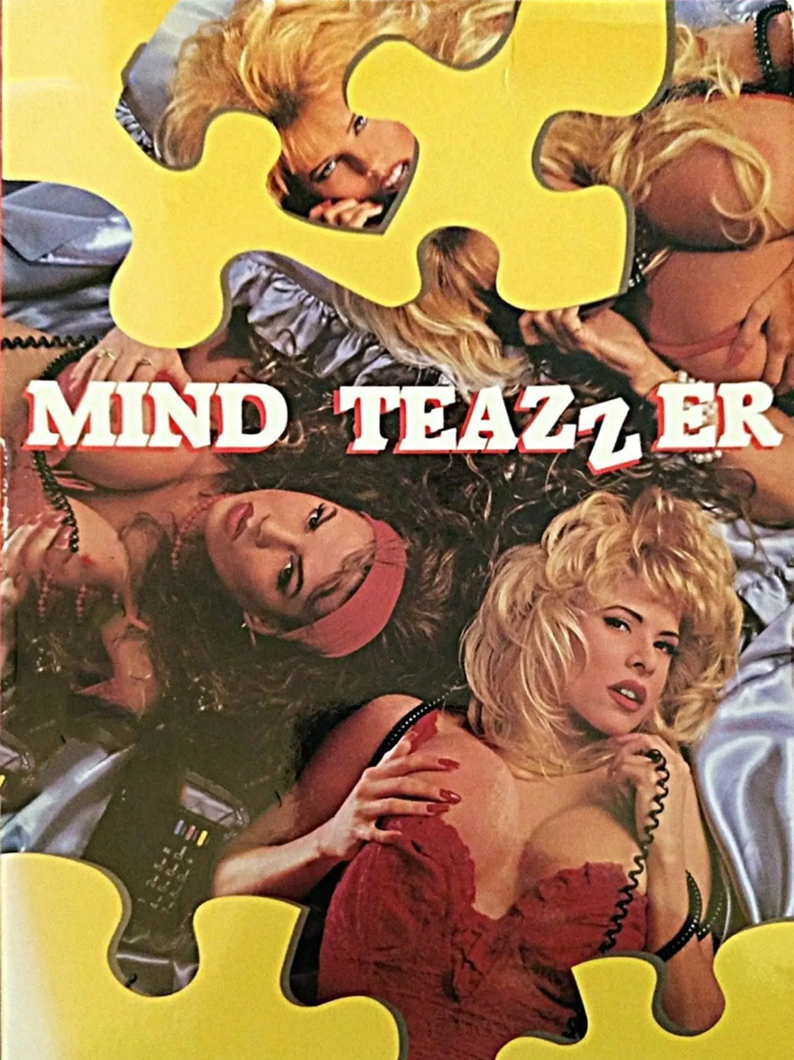 Picture of Mind Teazzer