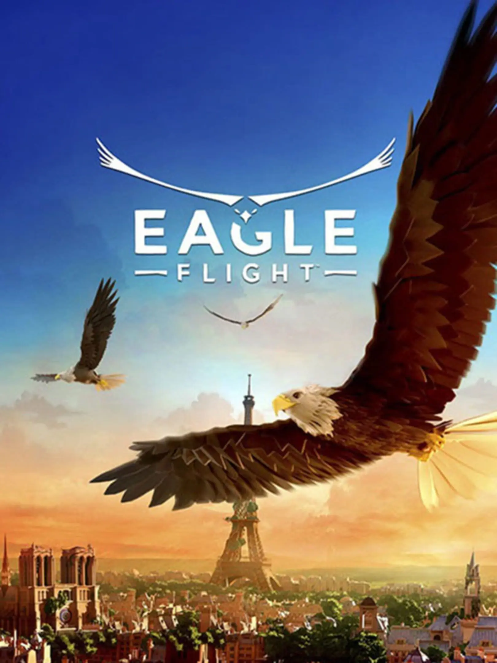 Picture of Eagle Flight