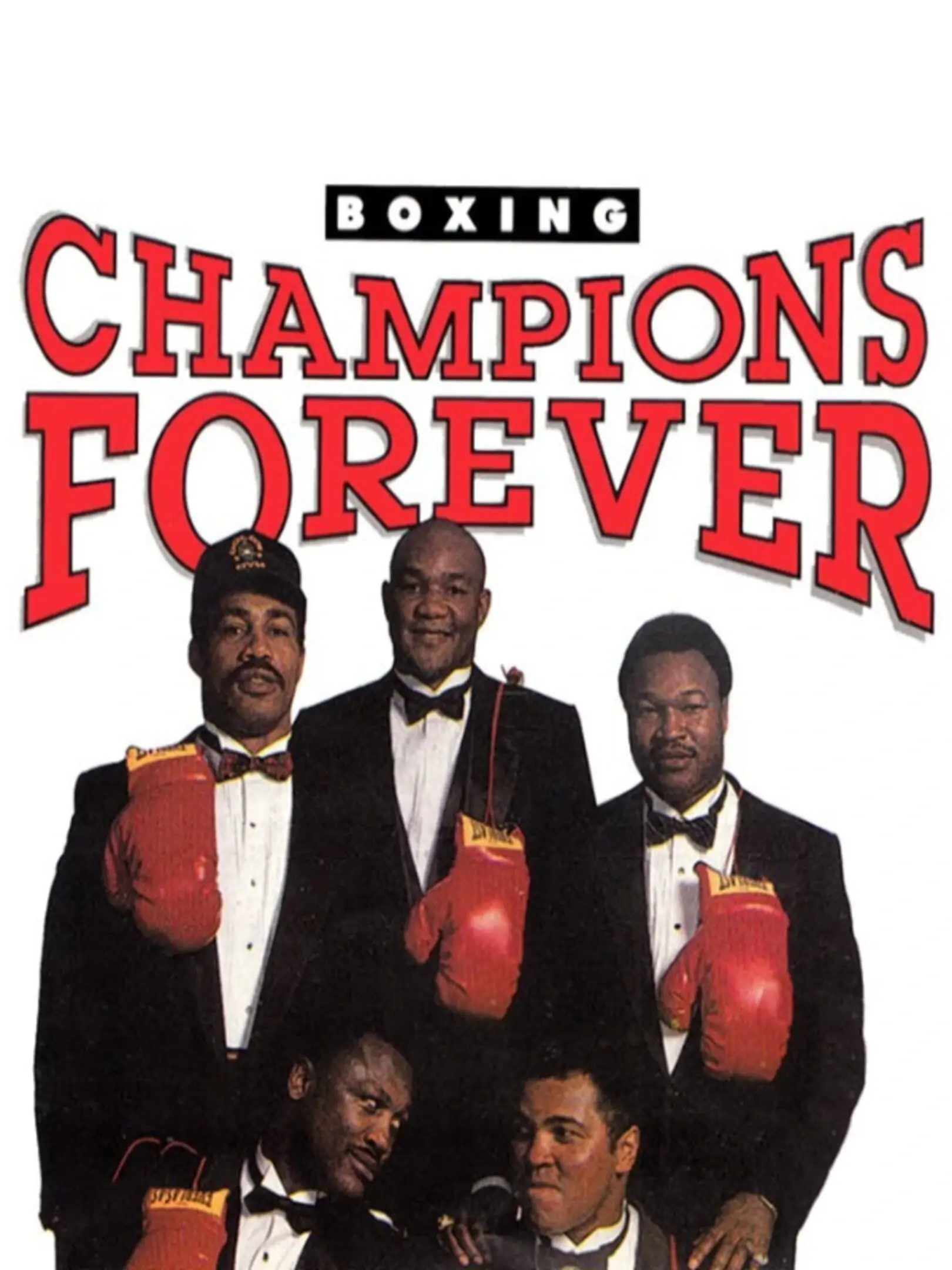 Picture of Champions Forever Boxing