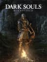 Picture of Dark Souls