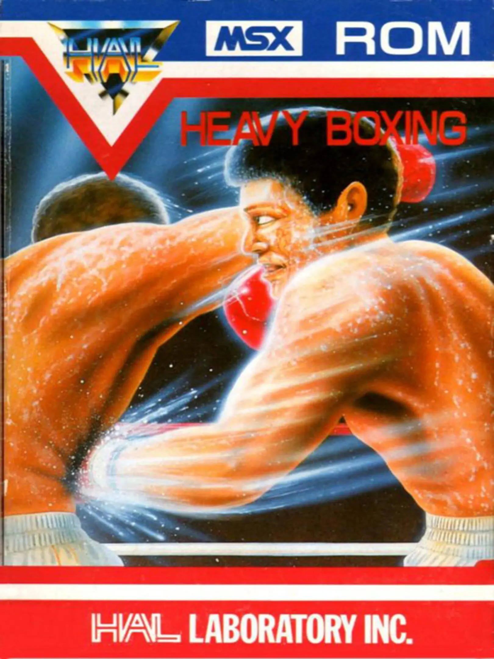 Picture of Heavy Boxing