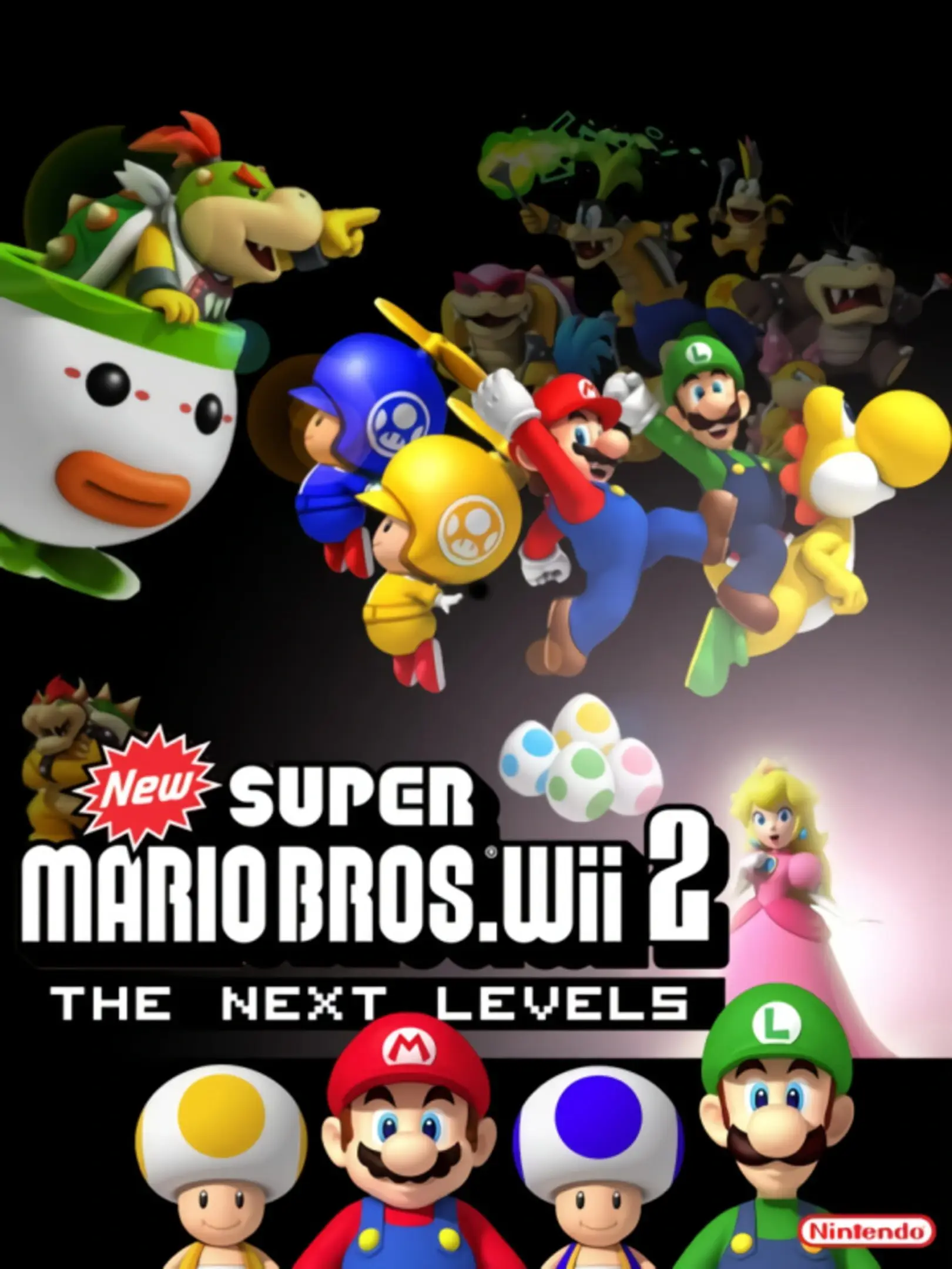 Picture of New Super Mario Bros Wii 2 - The Next Levels
