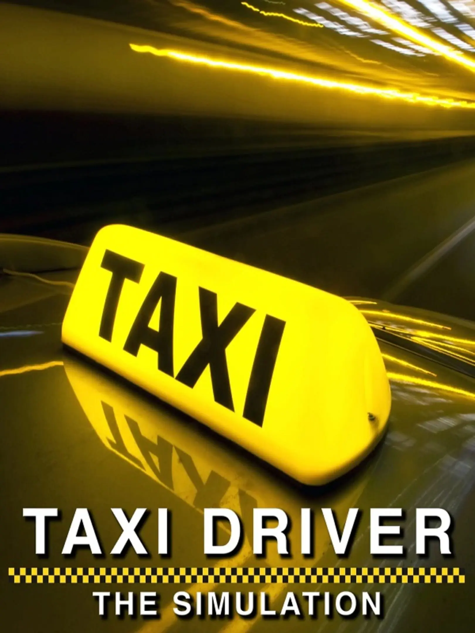 Picture of Taxi Driver The Simulation