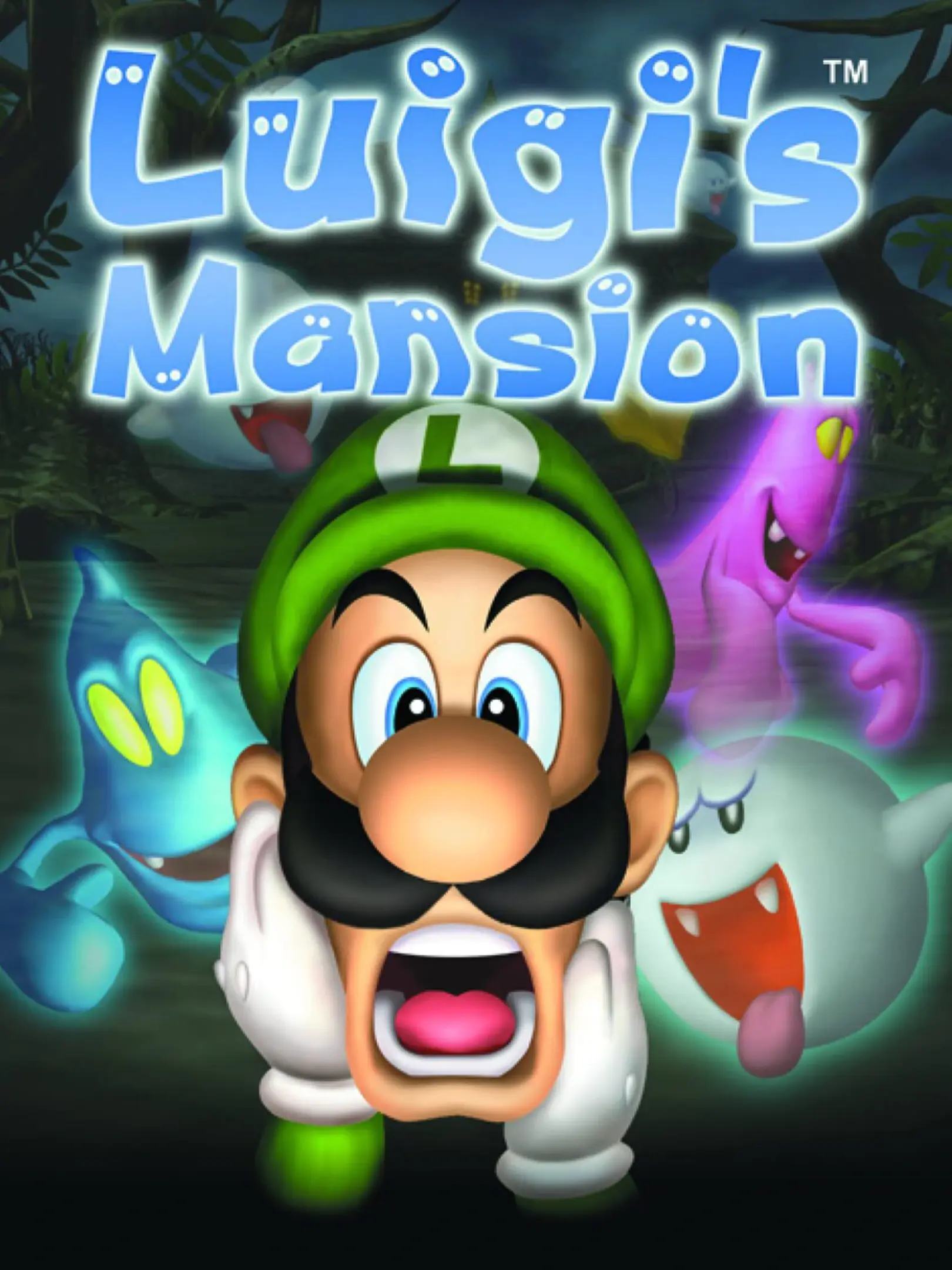 Picture of Luigis Mansion
