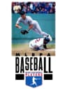 Picture of Fighting Baseball