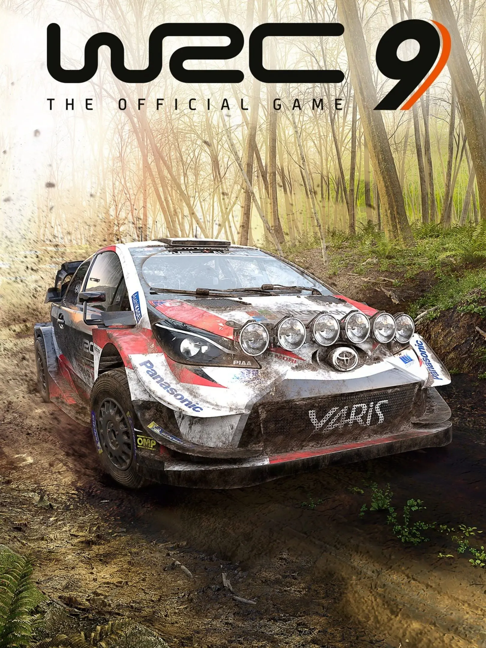 Picture of WRC 9