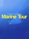 Picture of Marine Tour