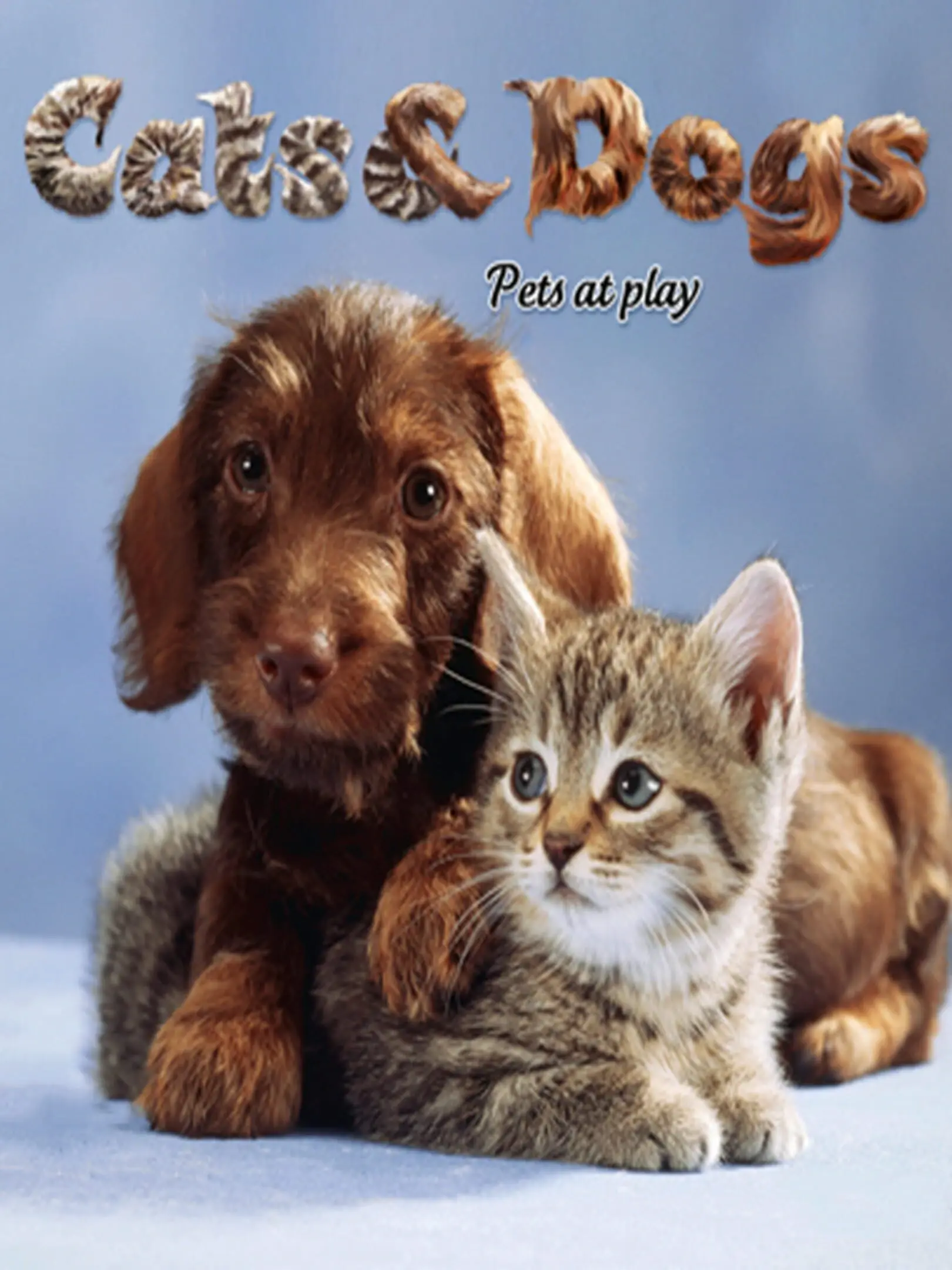 Picture of Hunde & Katzen 3D: Tierisch verspielt!