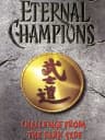Picture of Eternal Champions: Challenge from the Dark Side