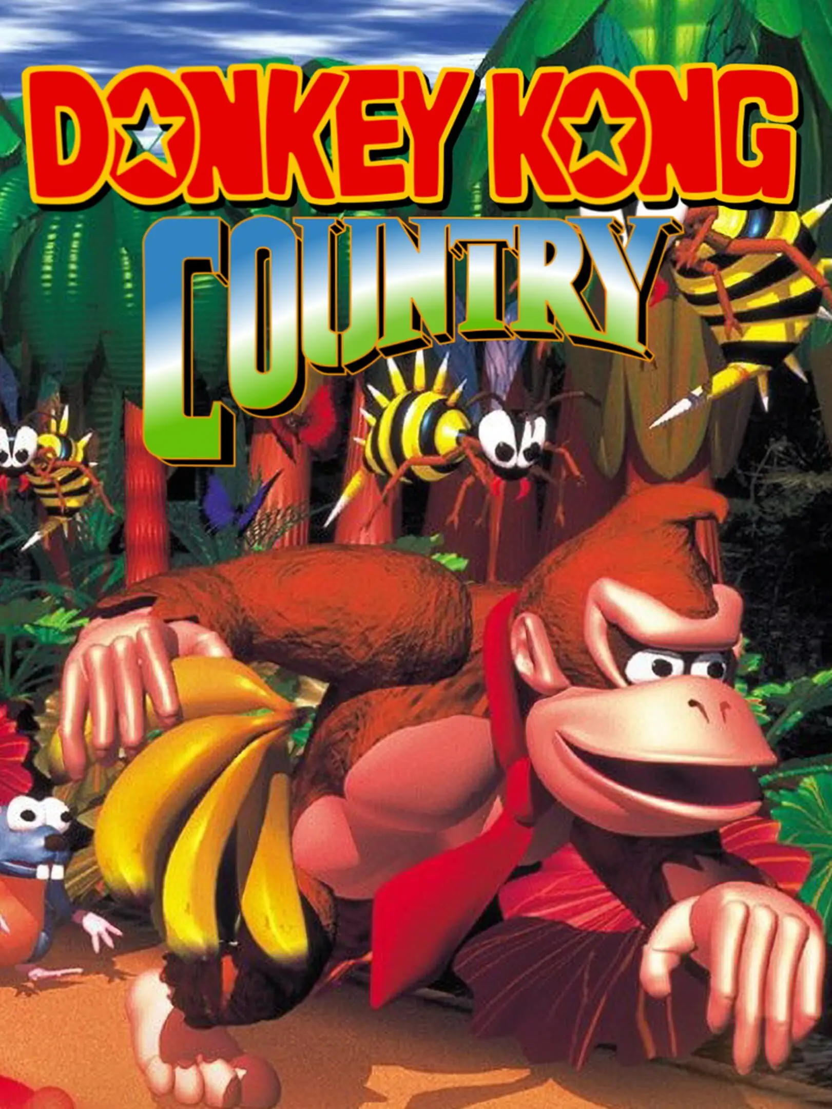 Picture of Donkey Kong Country