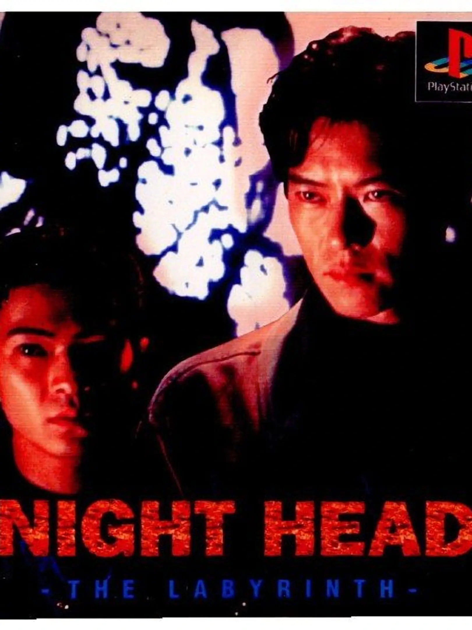 Picture of Night Head: The Labyrinth