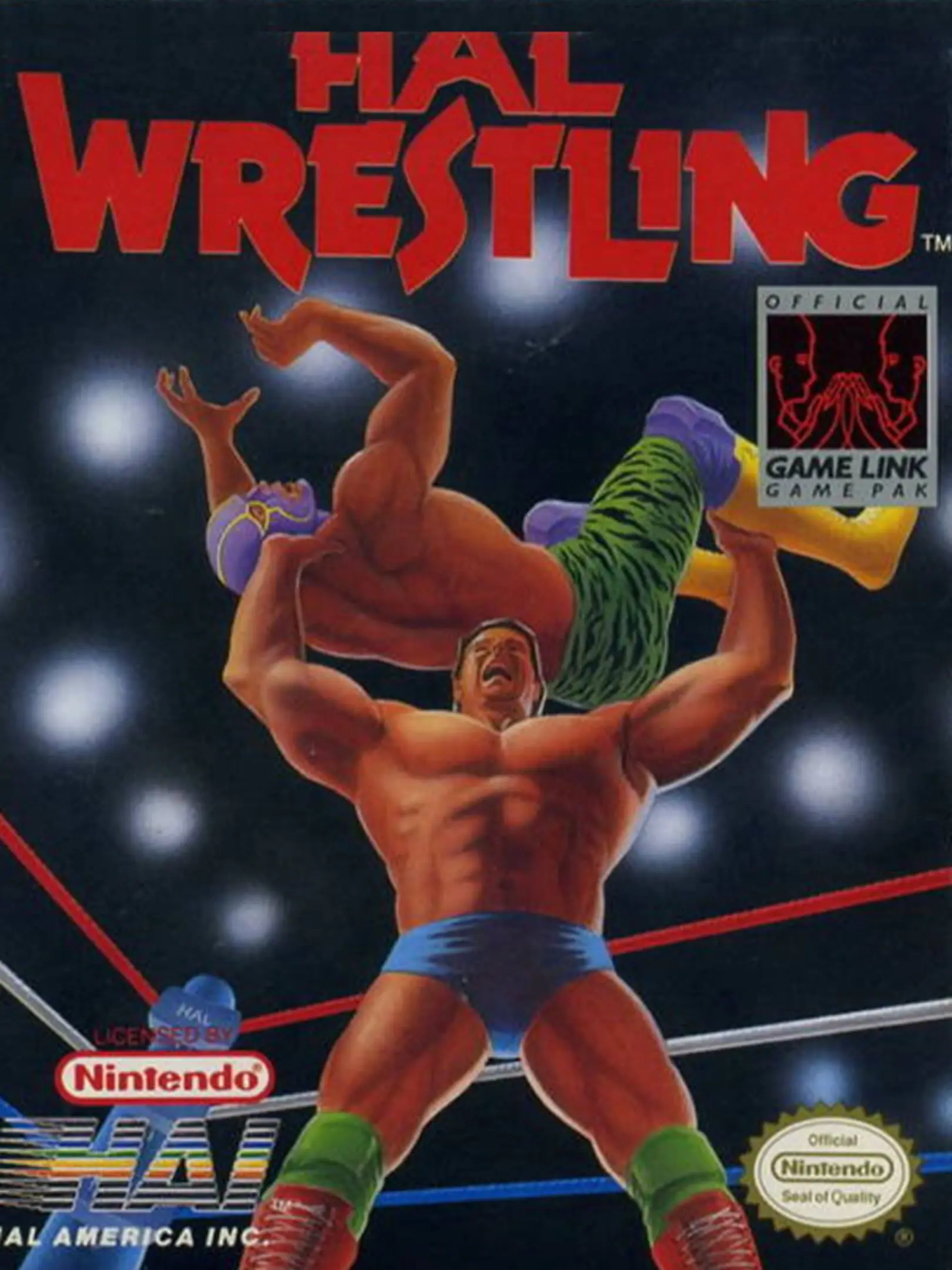 Pro Wrestling