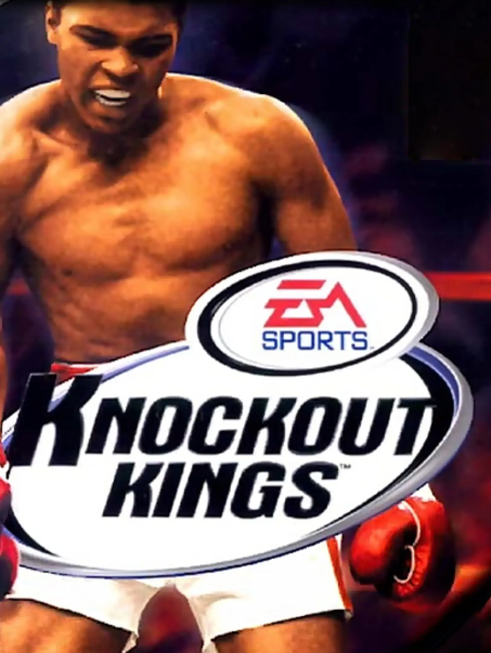 Picture of Knockout Kings