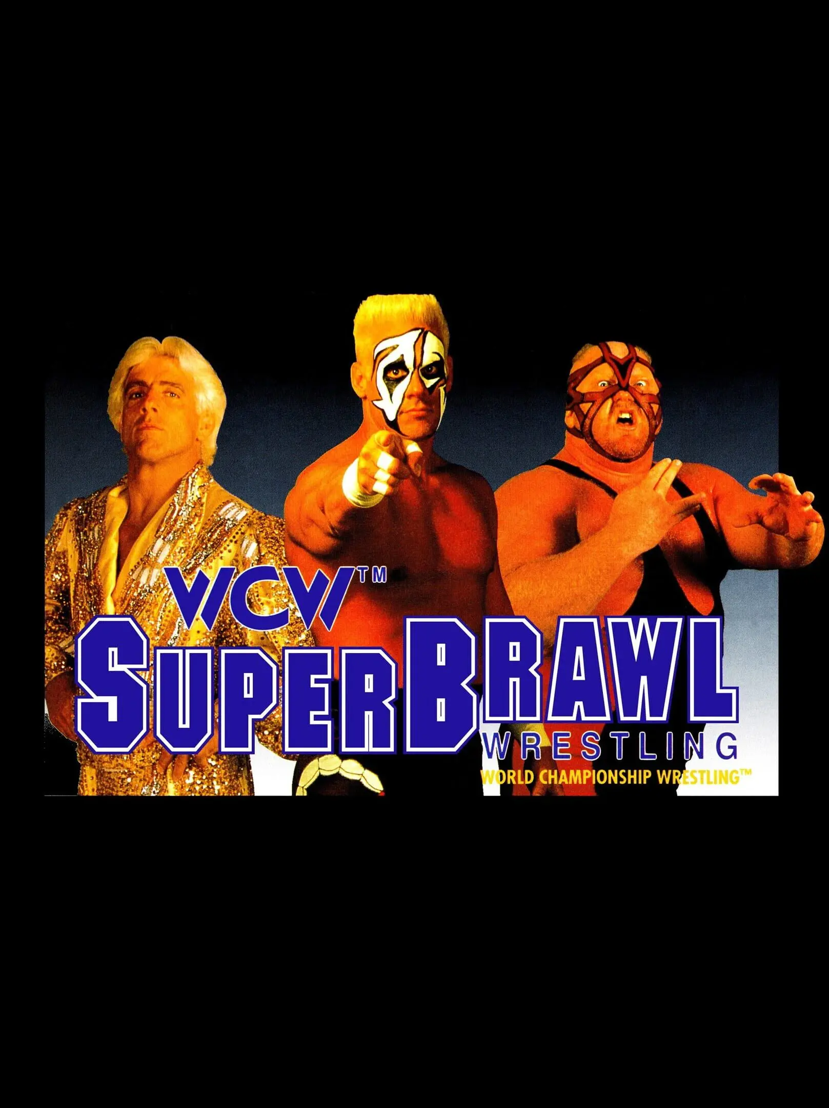 Picture of WCW Super Brawl Wrestling