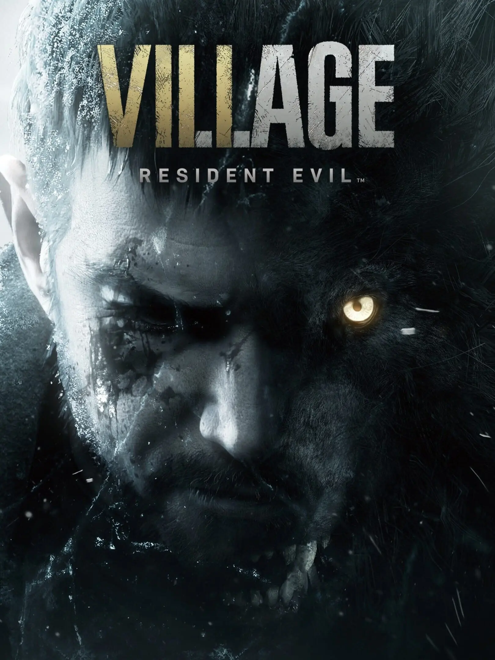 Picture of Resident Evil Village