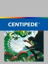 Picture of Centipede