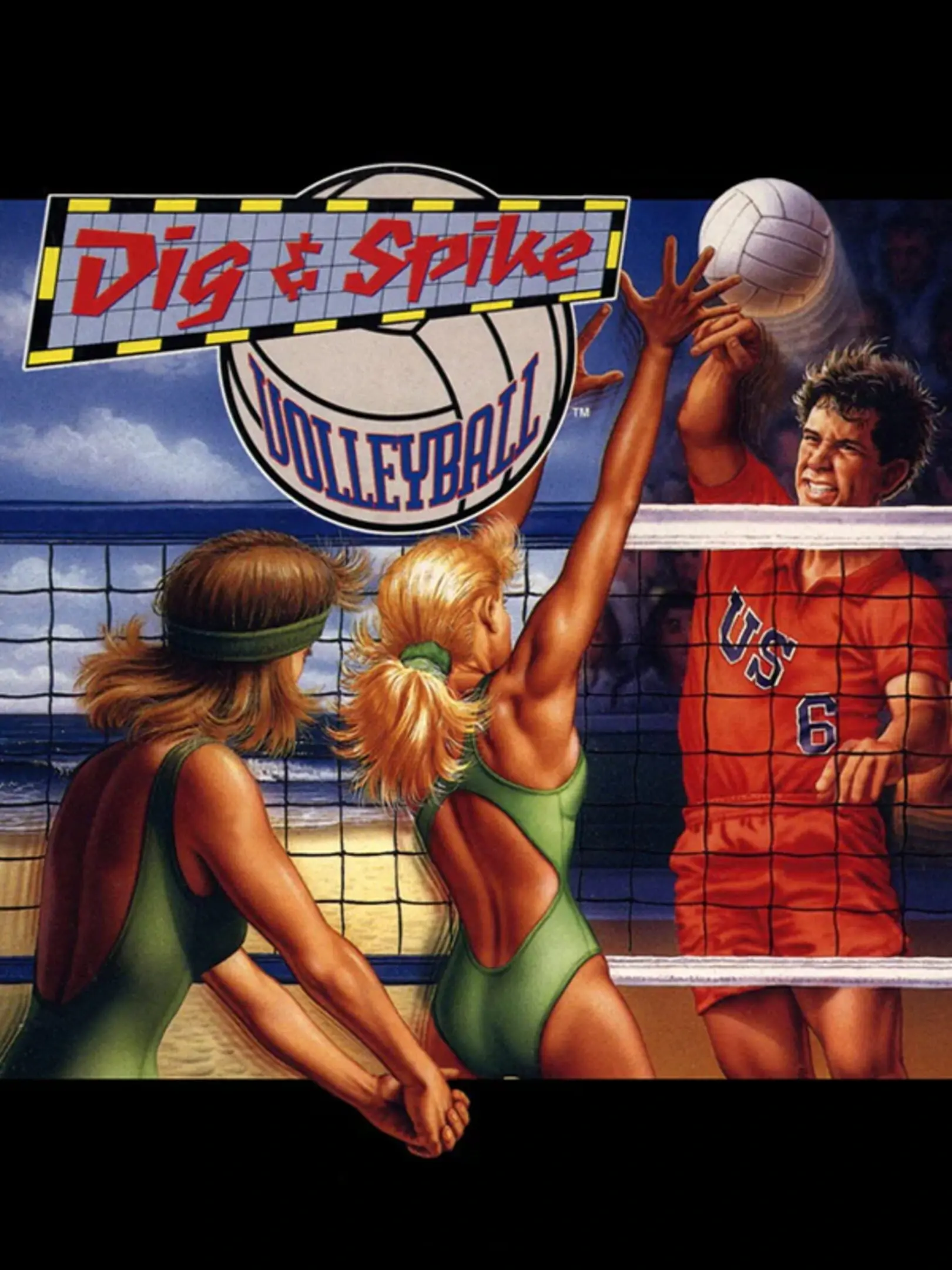 Picture of Volleyball Twin