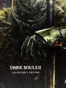 Picture of Dark Souls II