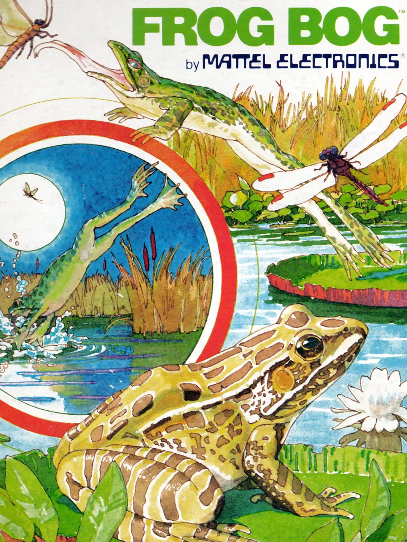 Picture of Frogs And Flies