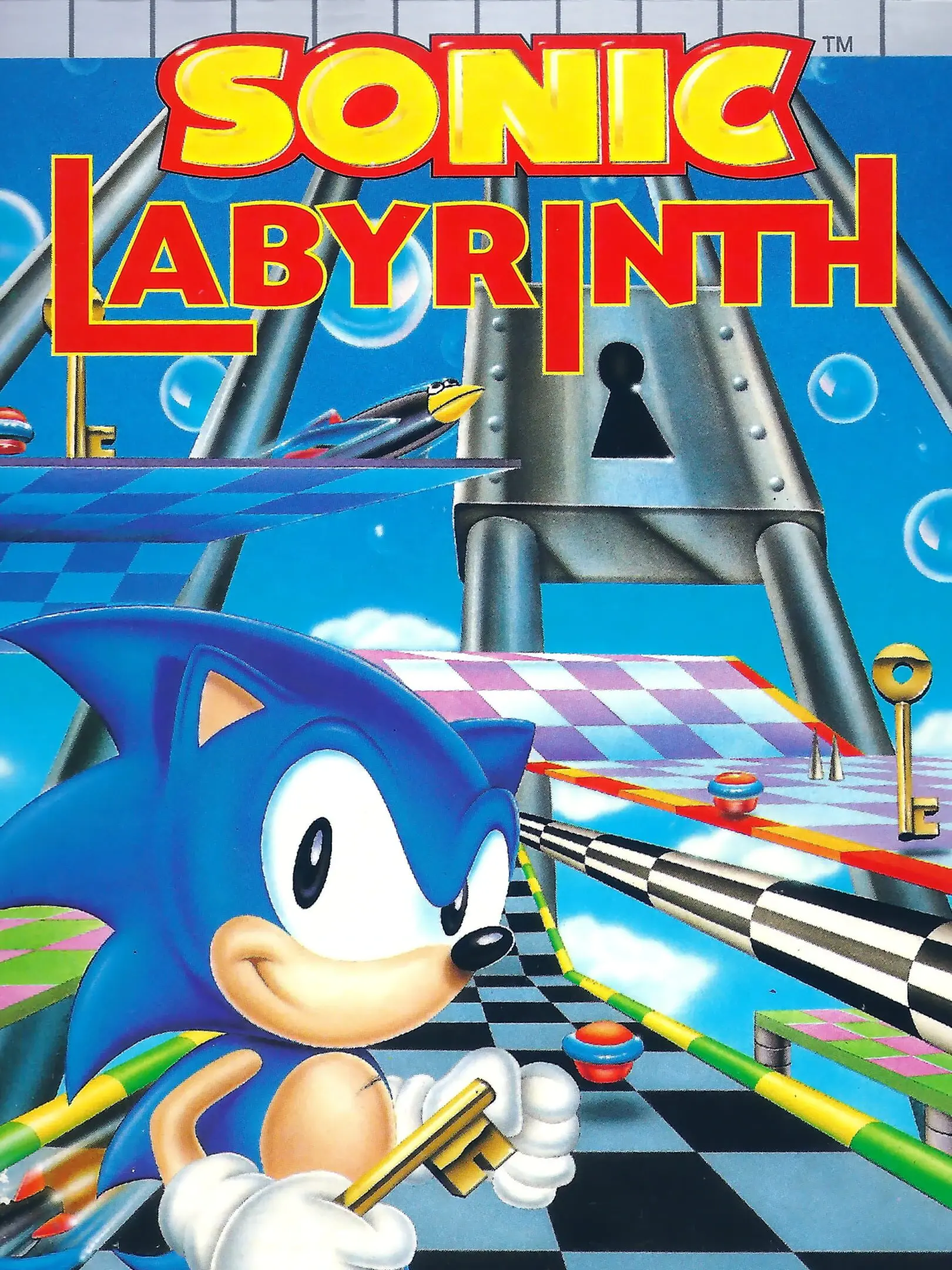 Picture of Sonic Labyrinth (2)