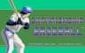 Picture of Championship Baseball