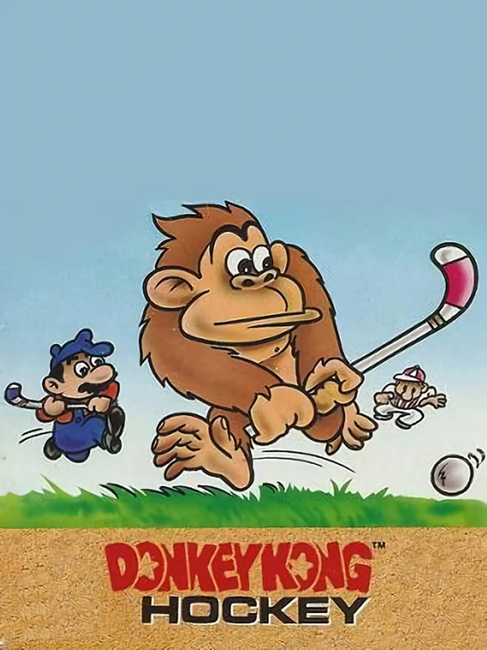 Picture of Donkey Kong Hockey