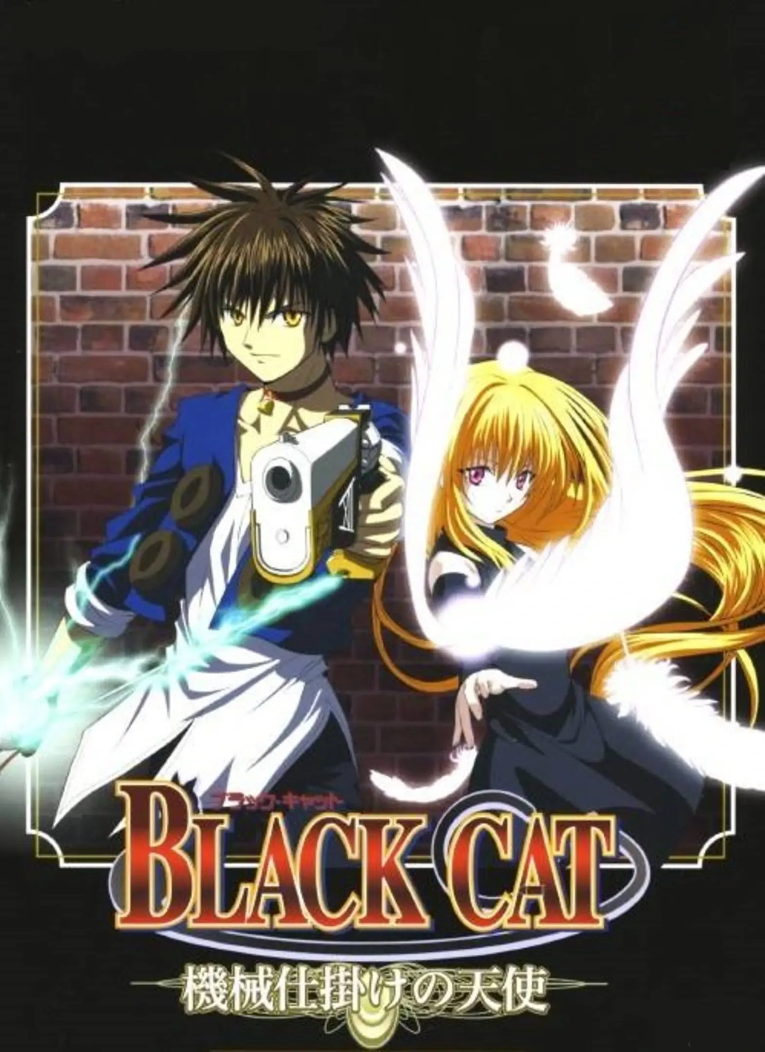 Picture of Black Cat