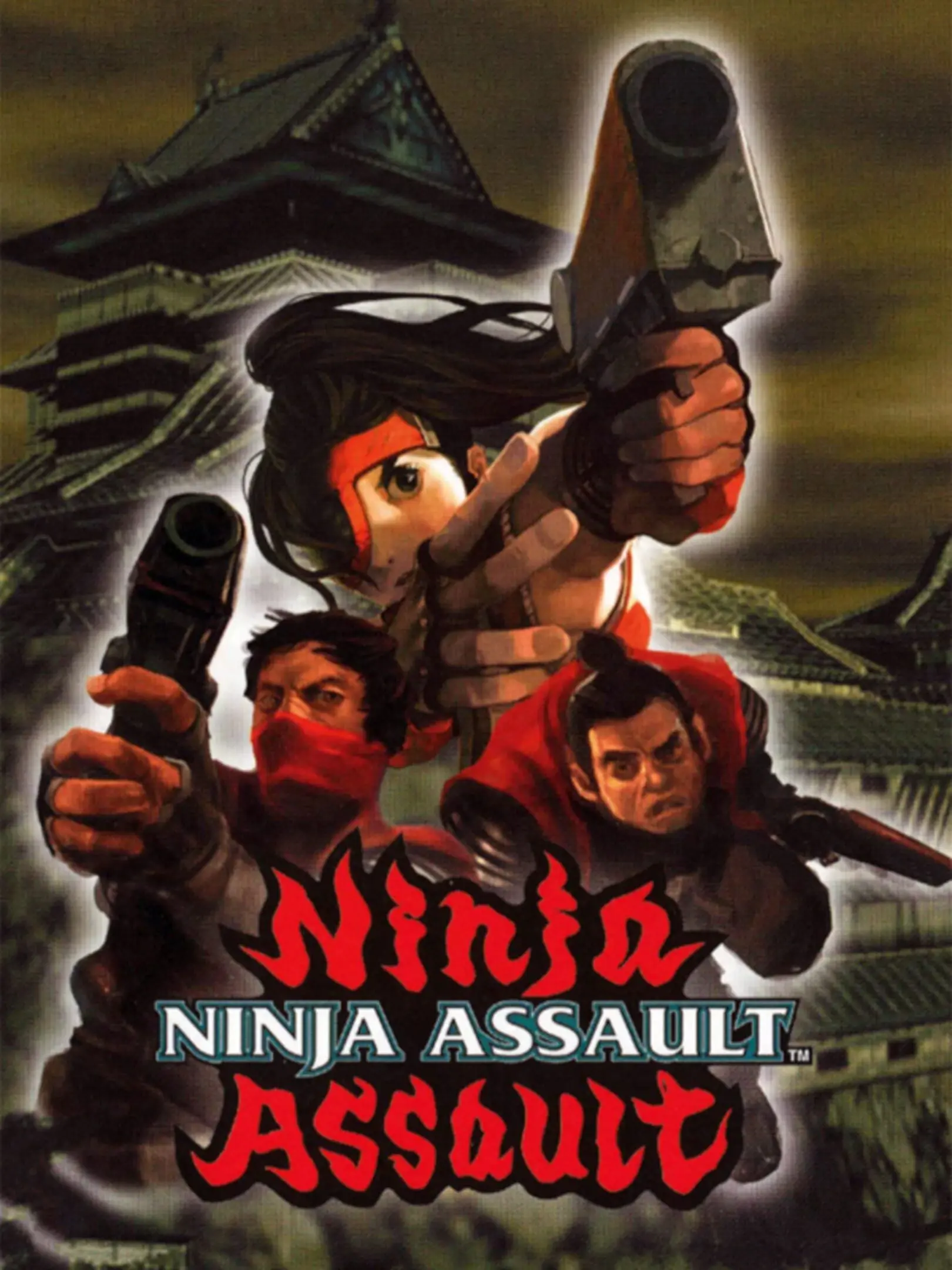 Picture of Ninja Assault