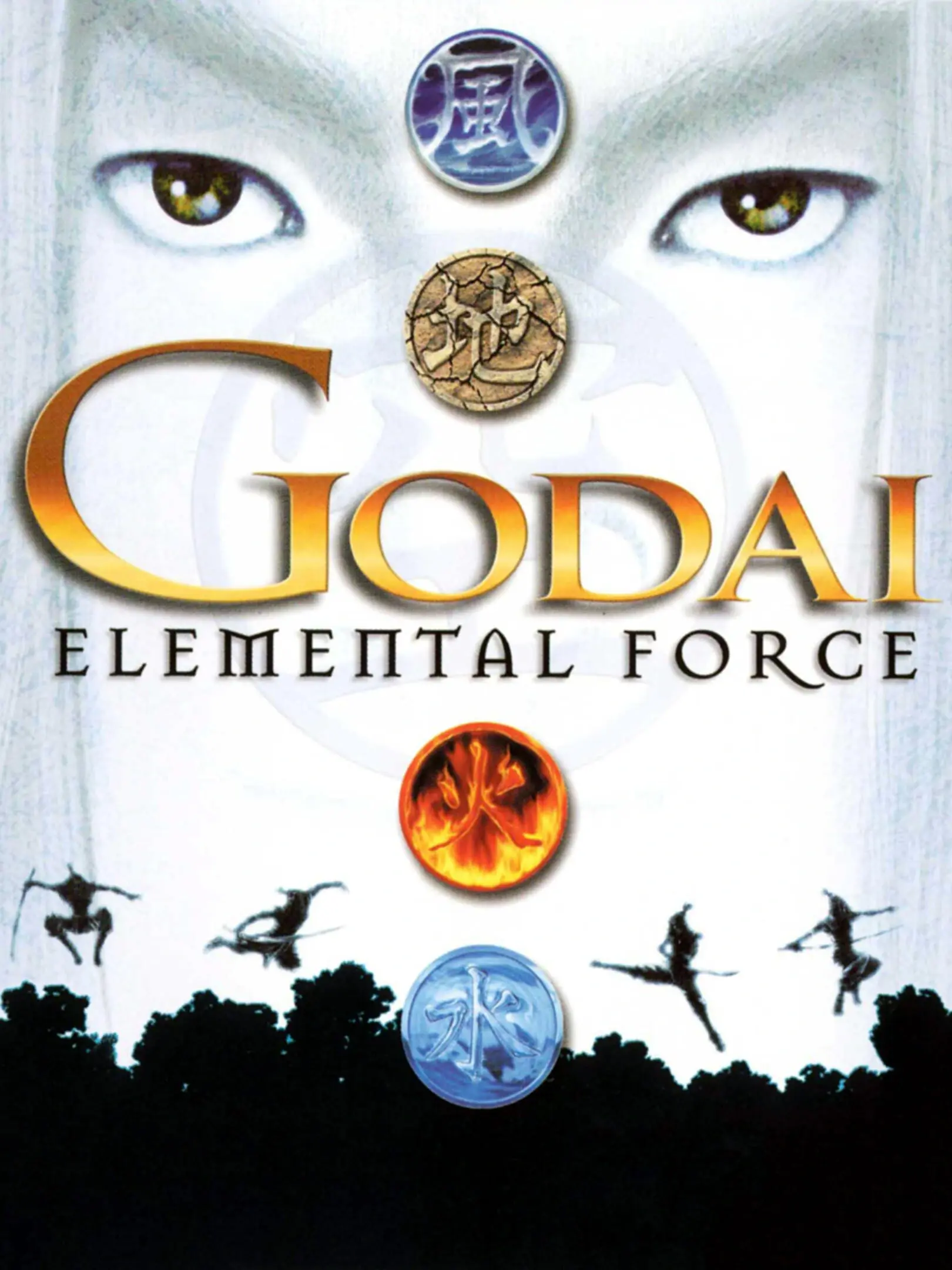 Picture of GoDai: Elemental Force