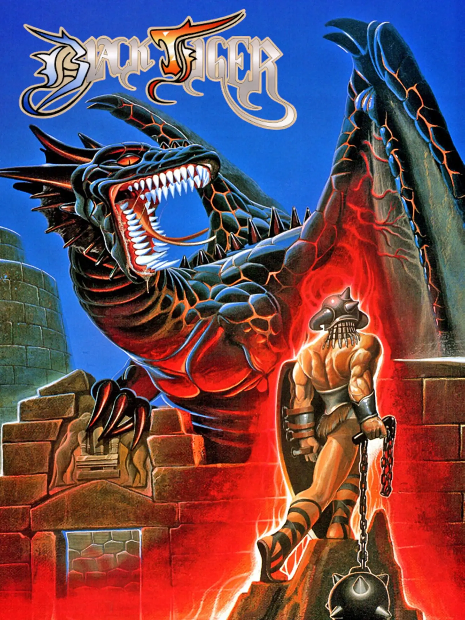 Picture of Black Tiger