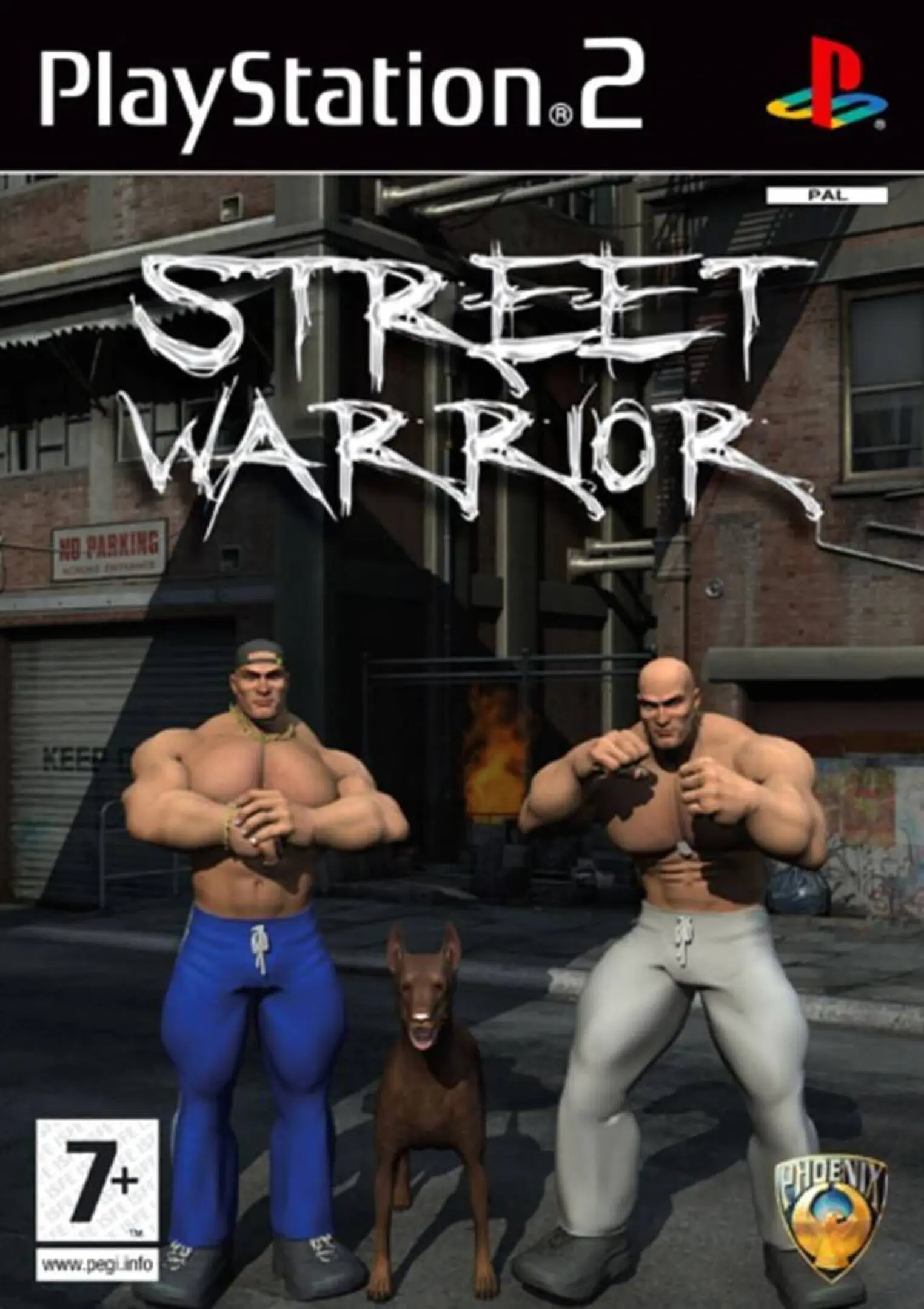 Picture of Street Warrior