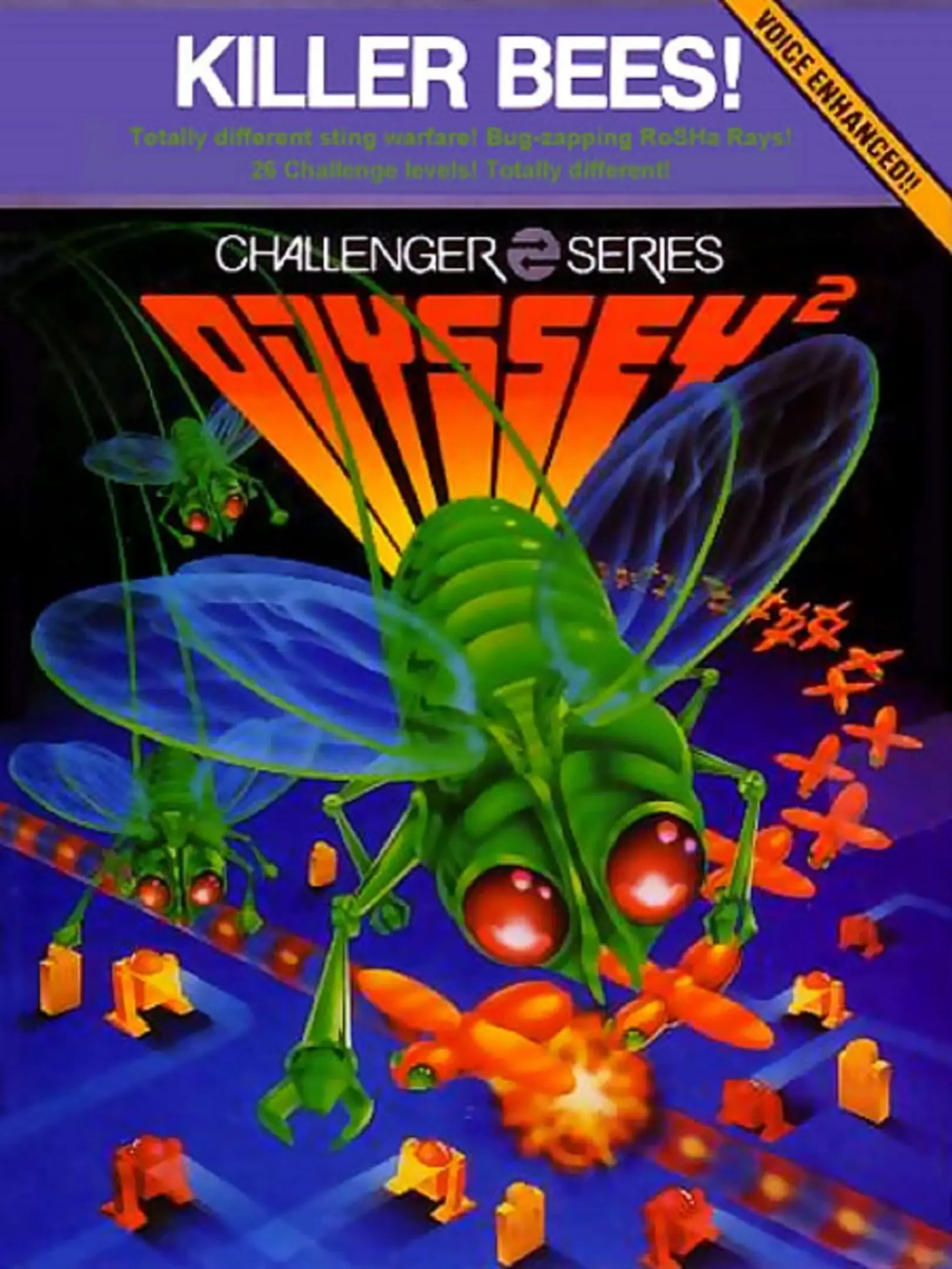 Picture of Killer Bees!