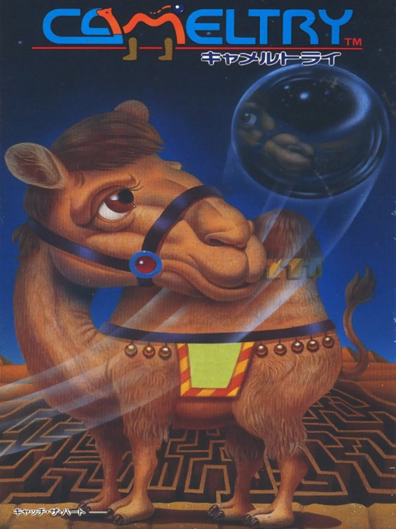 Picture of Cameltry (2)