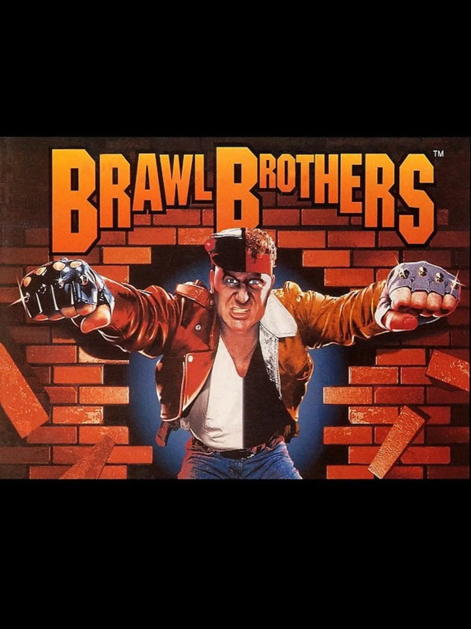 Picture of Brawl Brothers: Rival Turf! 2