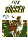 Picture of FIFA International Soccer