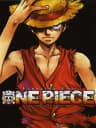 Picture of Fighting for One Piece