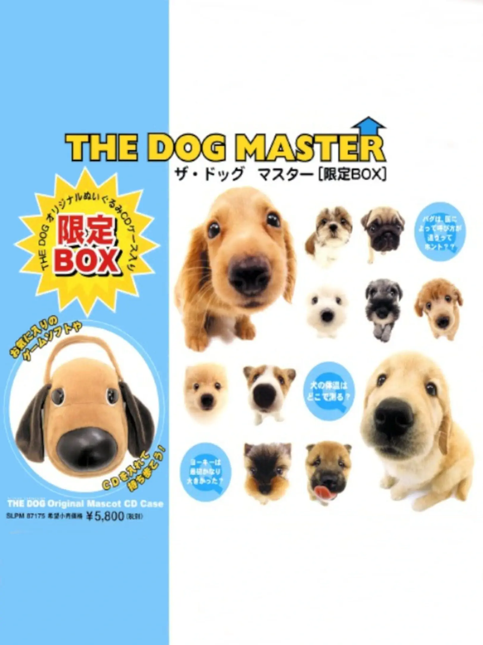 Picture of The Dog Master