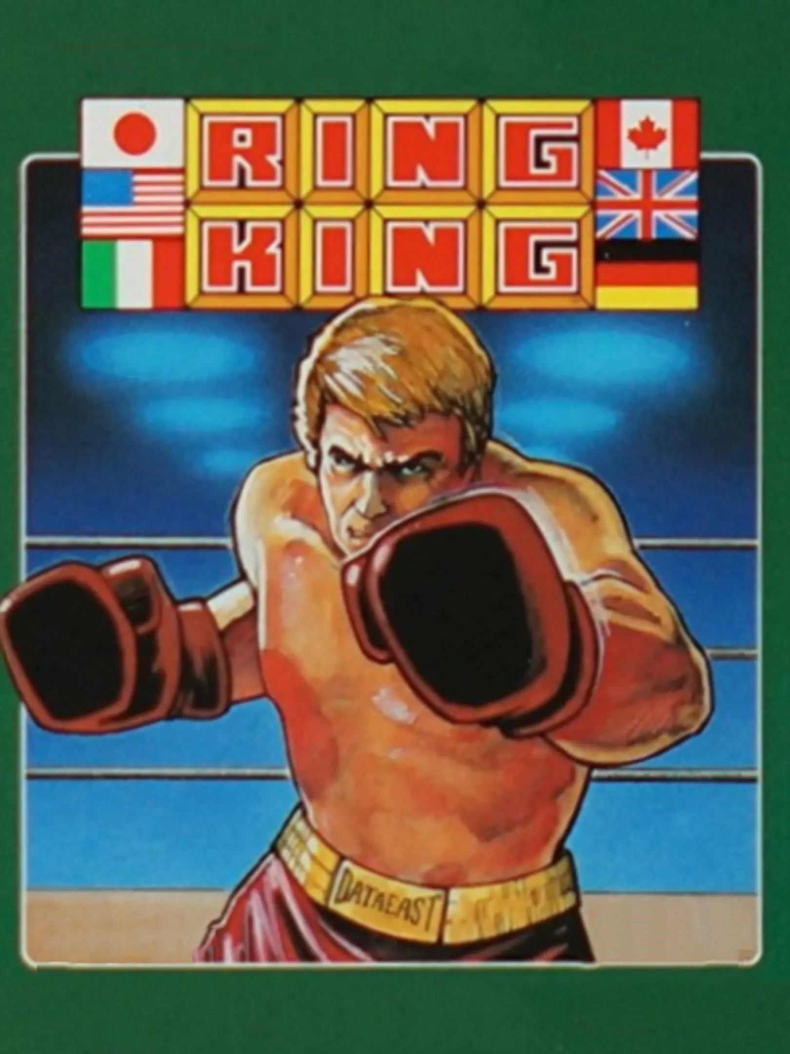 Picture of Family Boxing