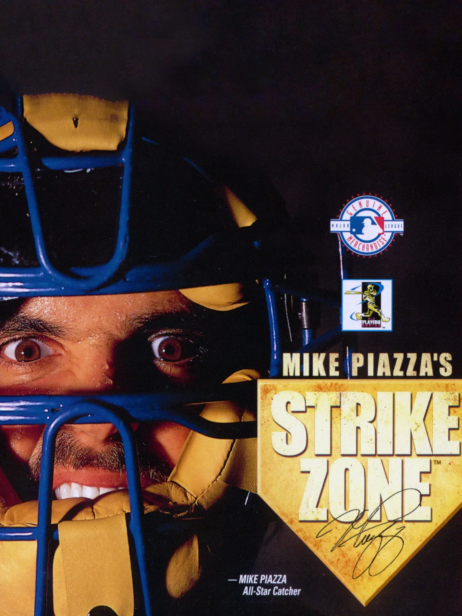 Picture of Mike Piazza's Strike Zone