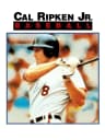 Picture of Cal Ripken Jr. Baseball