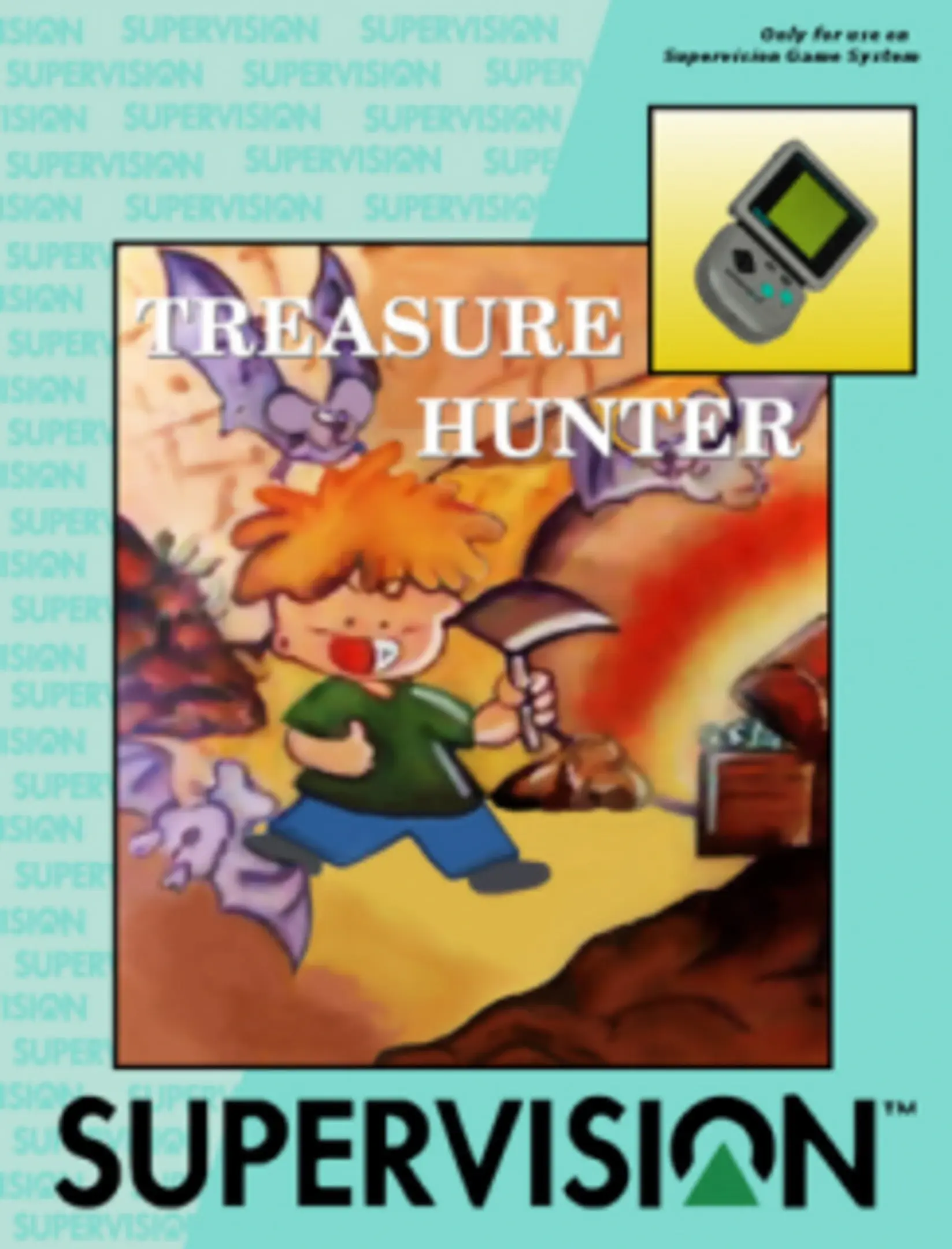 Picture of Treasure Hunter