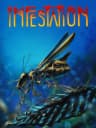 Picture of Infestation