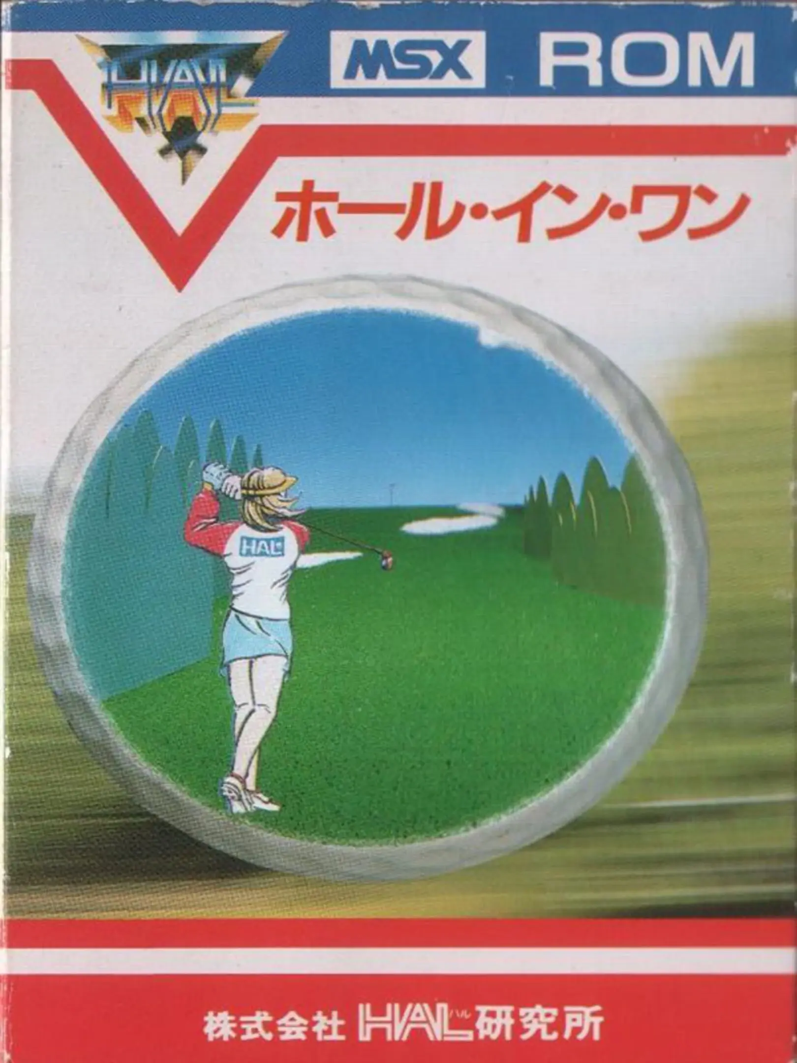 Picture of Hole in One