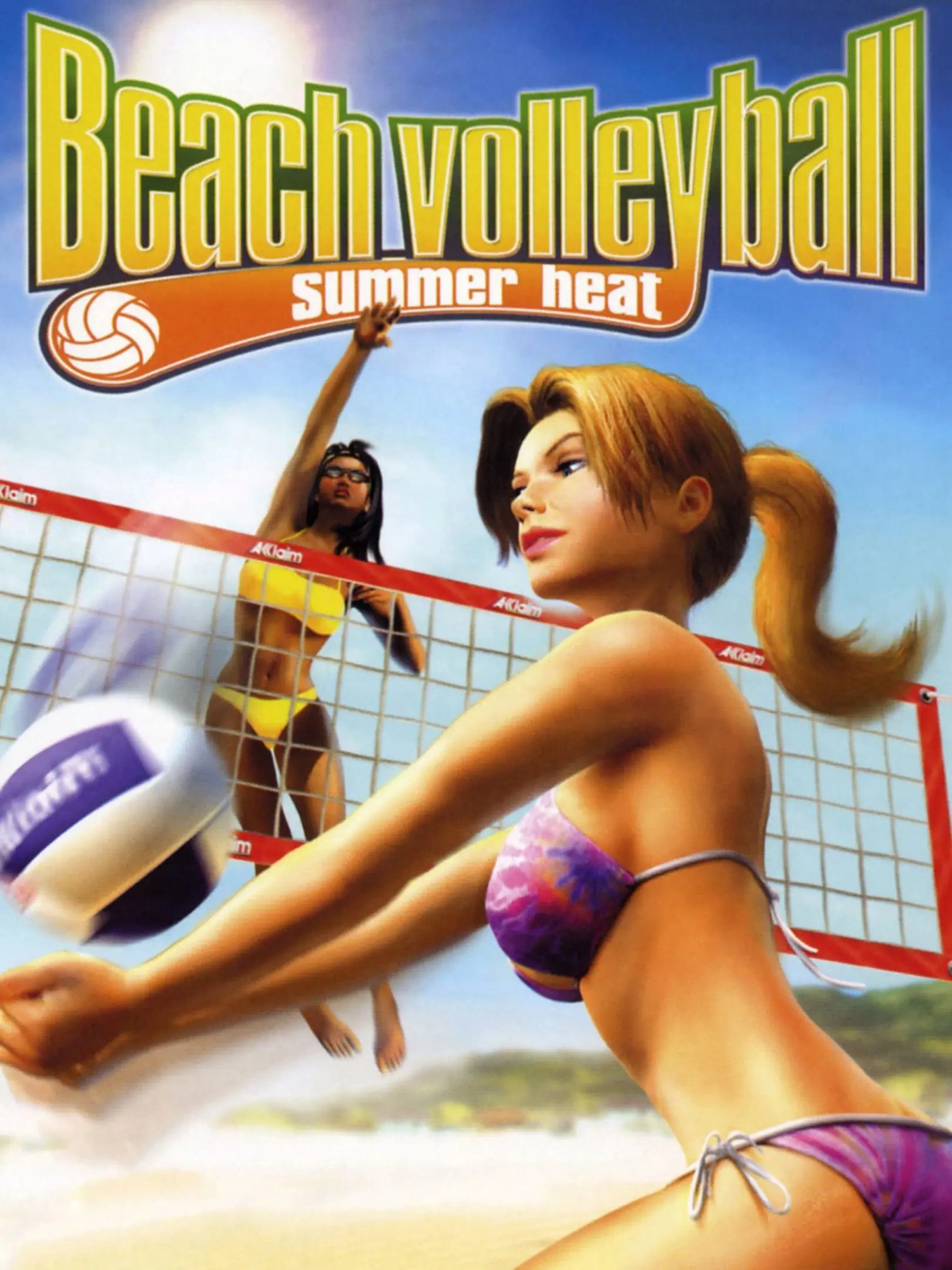 Picture of Summer Heat Beach Volleyball