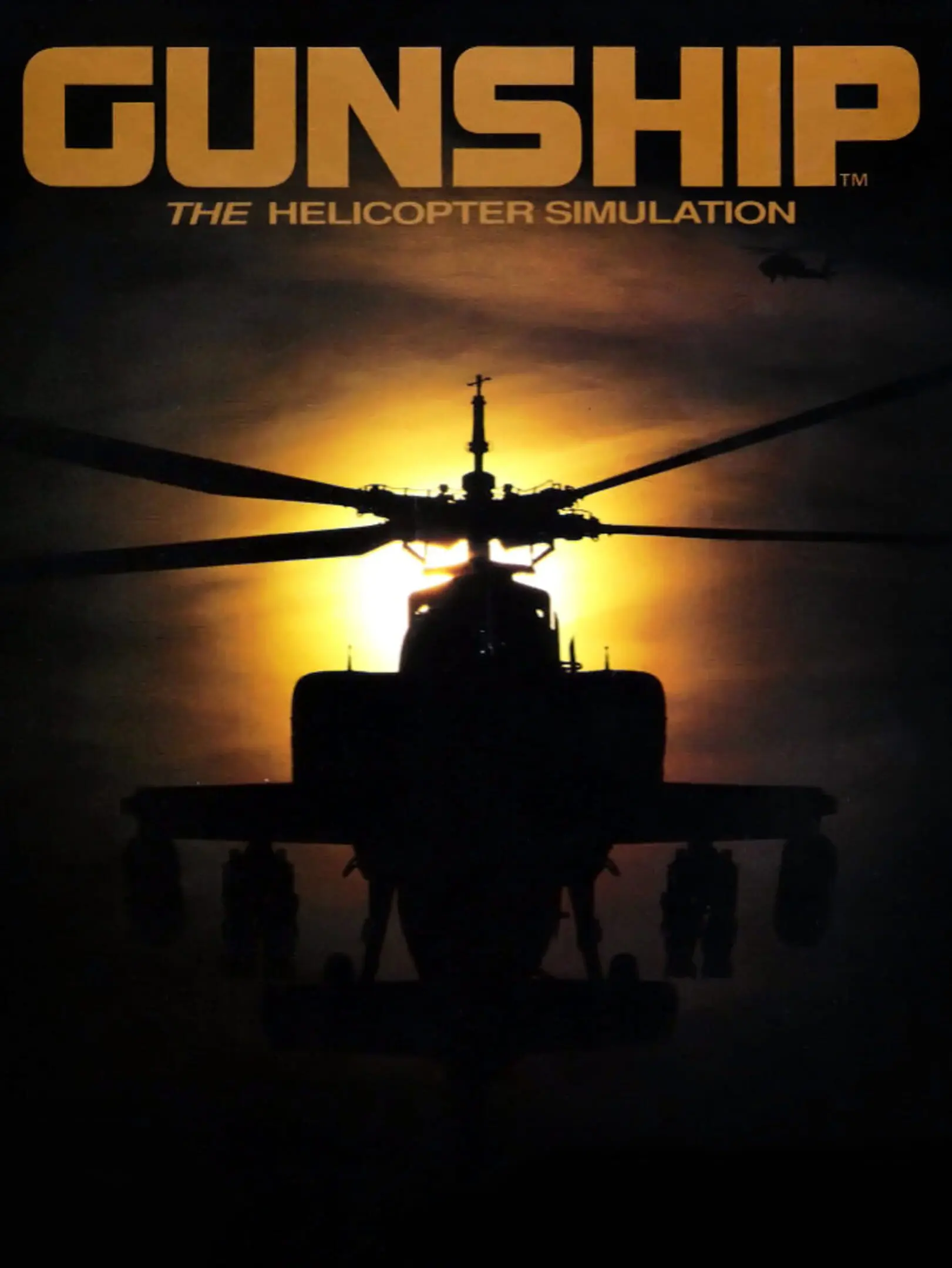 Picture of Gunship (3)