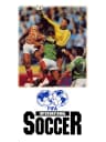Picture of FIFA International Soccer