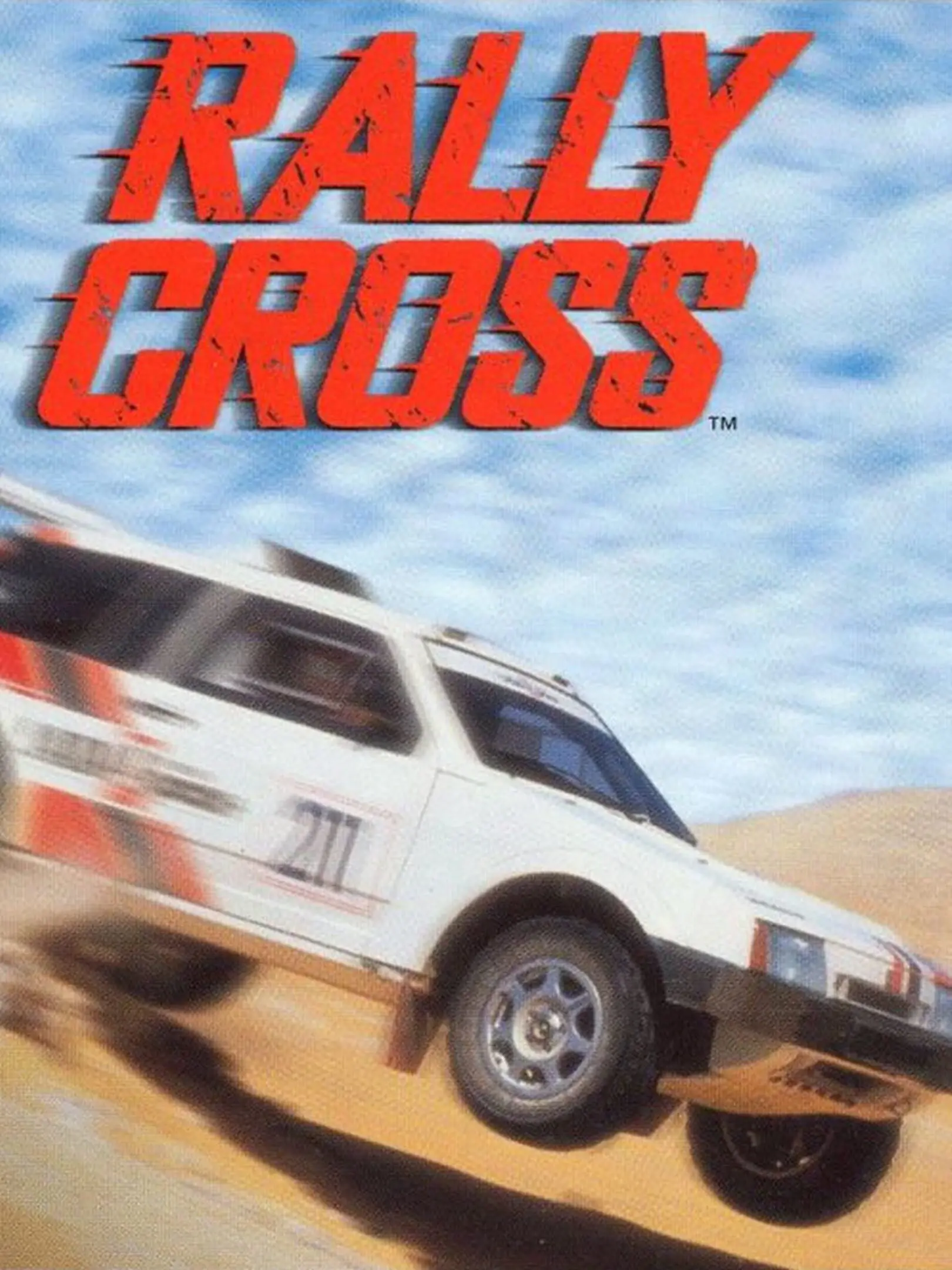 Picture of Rally Cross